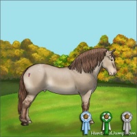 Horse Color:Liver Red Dun Appaloosa Rabicano 