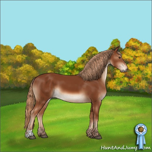 Horse Color:Chestnut Sabino