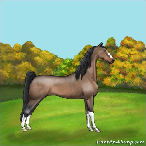 Horse Color:Brown Dun Brindle 