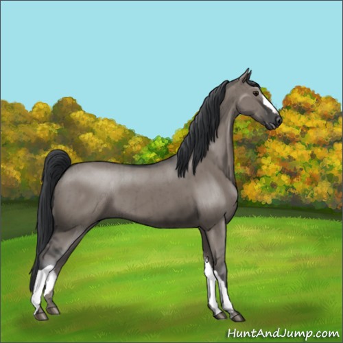 Horse Color:Grullo Brindle 