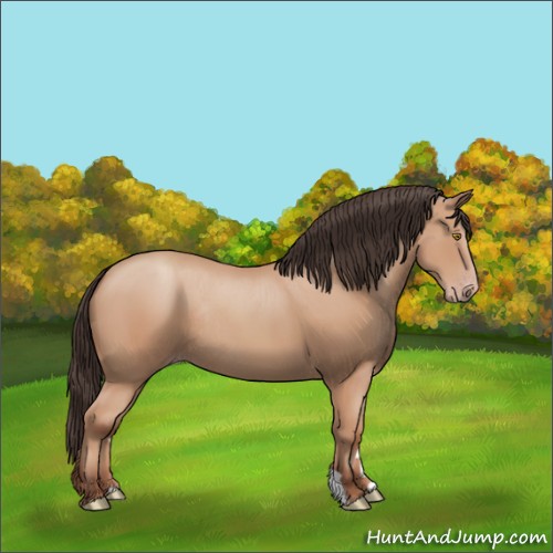 Horse Color:Sable Champagne Rabicano 