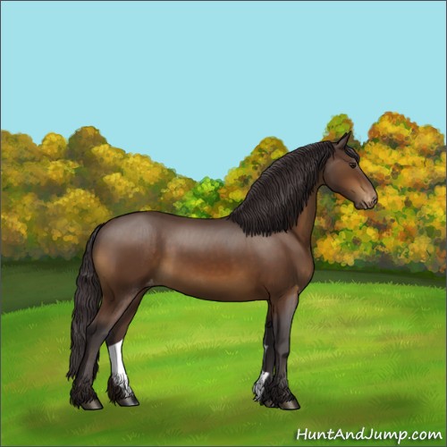 Horse Color:Buckskin Appaloosa Rabicano 