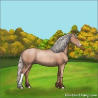 Horse Color:Silver Sable Champagne Rabicano