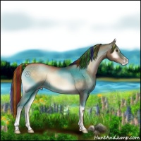 Horse Color:Painted Brown Pearl Onyx 