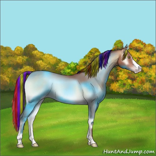 Horse Color:Painted Amber Champagne Onyx 