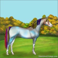 Horse Color:Painted Amber Champagne Onyx 