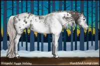 Horse Color:White Spotted Silver Black Appaloosa 