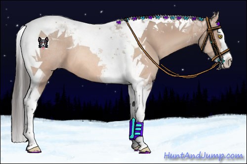 Horse Color:Amber Champagne Splash Tobiano 