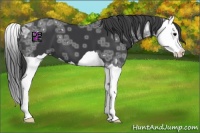 Horse Color:Black Ice Splash 