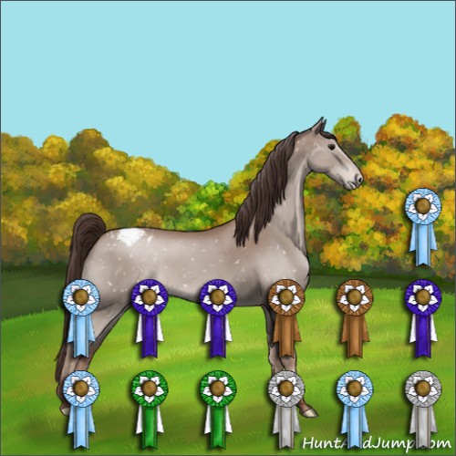 Horse Color:Classic Champagne Appaloosa 