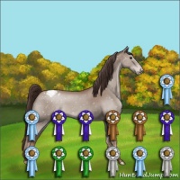 Horse Color:Classic Champagne Appaloosa