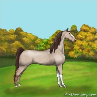Horse Color:Classic Champagne Dun Varnish 