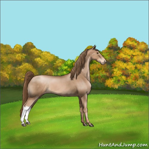 Horse Color:Liver Chestnut Pearl Appaloosa
