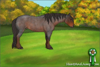 Horse Color:Gray Liver Red Roan Sabino 