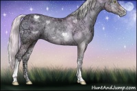 Horse Color:Watercolor Silver Sable Champagne Ice Pearl Onyx Rabicano 