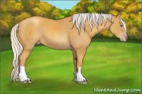 Horse Color:Silver Classic Cream Champagne