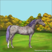 Horse Color:Painted Chocolate Silver Black Chinchilla Ice 