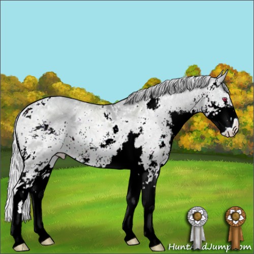 Horse Color:Silver Sable Champagne Chinchilla Ice Sabino 