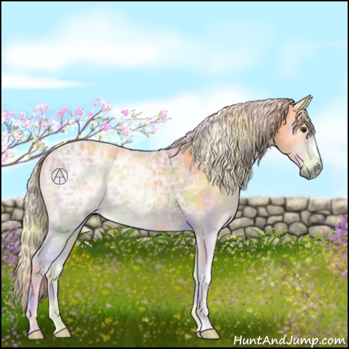 Horse Color:Nacre Palomino Ice Onyx