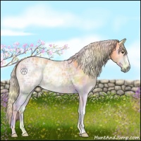 Horse Color:Nacre Palomino Ice Onyx 