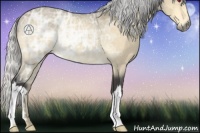 Horse Color:Silver Buckskin Chinchilla Ice 
