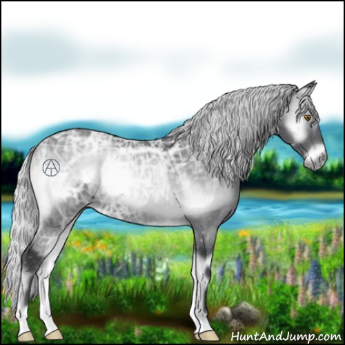 Horse Color:Silver Blue Onyx Chinchilla Ice Rabicano