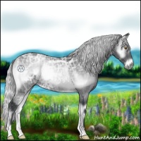 Horse Color:Silver Blue Onyx Chinchilla Ice Rabicano 