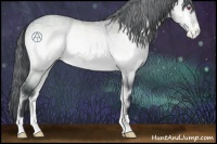 Horse Color:Bay Chinchilla Ice Roan Onyx Appaloosa