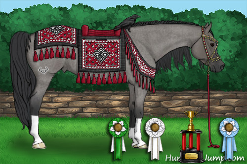 Horse Color:Grullo Roan 