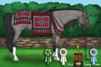 Horse Color:Grullo Roan 