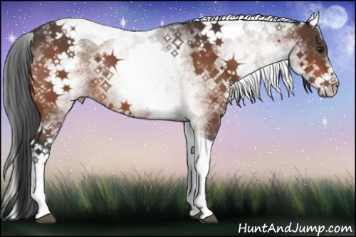 Horse Color:White Spotted Bay Tobiano Rabicano 