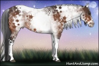 Horse Color:White Spotted Bay Tobiano Rabicano