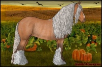 Horse Color:Silver Bay Rabicano