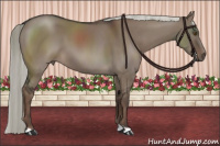 Horse Color:Liver Red Dun Mushroom