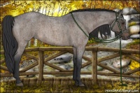 Horse Color:Brown Roan Dun 