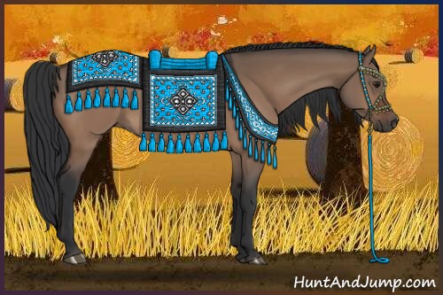 Horse Color:Brown Dun 