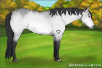 Horse Color:Bay Chinchilla Dun 