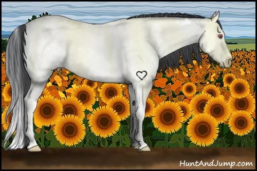 Horse Color:Bay Chinchilla Dun Splash 