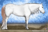 Horse Color:Bay Tobiano Near Leopard Brindle