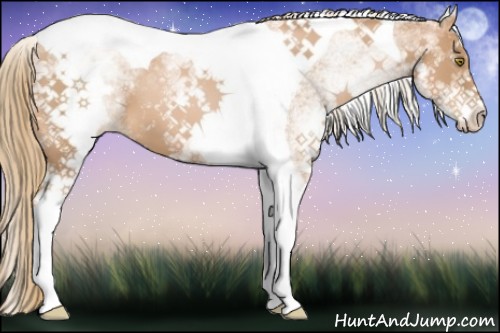 Horse Color:White Spotted Chestnut Pearl Tobiano