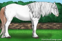 Horse Color:Bay Splash Tobiano Near Leopard  Brindle