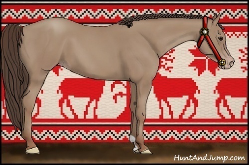 Horse Color:Classic Champagne