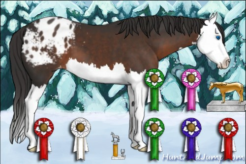 Horse Color:Liver Chestnut Sabino Splash Appaloosa 