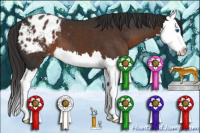Horse Color:Liver Chestnut Sabino Splash Blanket