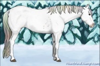 Horse Color:Nacre White Spotted Brown Ice Appaloosa 