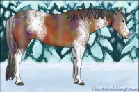 Horse Color:Nacre White Spotted Brown