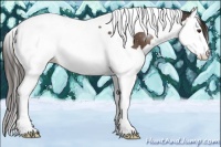 Horse Color:Liver Chestnut Sabino Splash Tobiano Blanket 