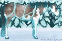 Horse Color:Thunderstruck Brown Ice Sabino Splash 