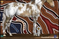 Horse Color:White Spotted Chocolate Palomino