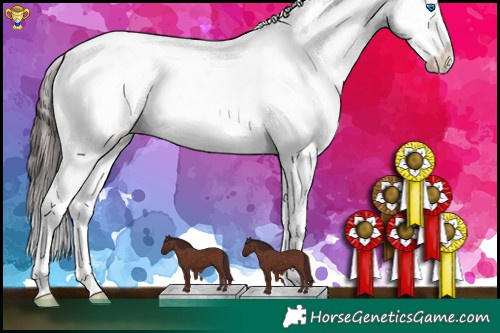 Horse Color:White Spotted Chocolate Brown Roan Splash Appaloosa Rabicano 